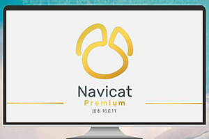 Navicat Premium 16.3.8 绿色版 Windows 中文版数据库管理工具