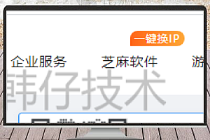 高效切换公网IP地址的实用方法(推荐优质IP代理平台)