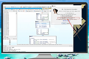 最新反汇编工具:IDA Freeware 8.3版详解