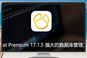 Navicat Premium 17.1.5 – 功能强大的数据库管理工具