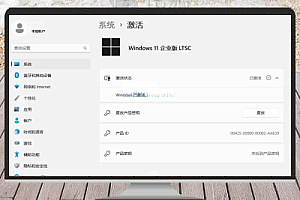 Windows 11 LTSC 2024版