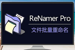 文件重命名工具ReNamerPro v7.6 便携版下载与使用指南