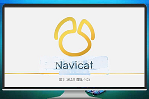 数据库管理工具 Navicat Premium 17.0.13 绿色 Windows 中文版