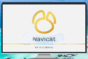 Navicat Premium 16 绿色中文版 – 强大的数据库管理工具