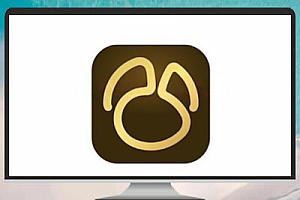 Navicat Premium for Mac 17.0.12 中文版——专业级数据库管理工具