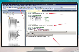 SQL Server 数据库查询脚本 – 查找特定数据
