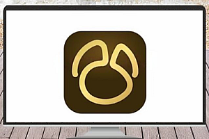 Navicat Premium for Mac 17.1.6 中文版——强大数据库管理工具
