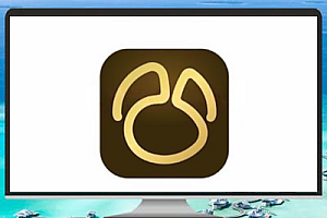 Navicat Premium for Mac 17.0.9 中文版——高效数据库管理工具(Mac版)